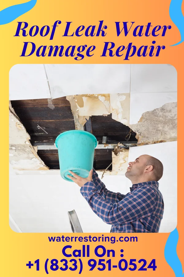 Roof Leak Water Damage Repair in Smithville, TX